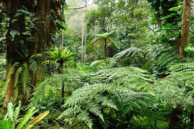 Nature