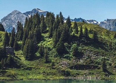 Nature