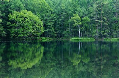 Nature