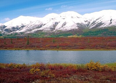 Nature
