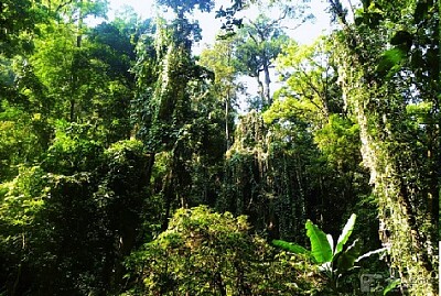 Nature
