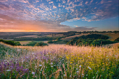 Nature