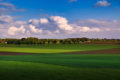 Nature