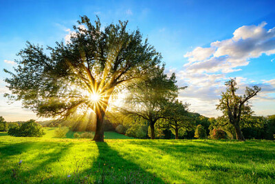 Nature