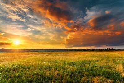 Nature
