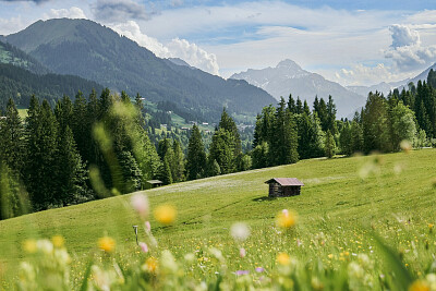 Nature