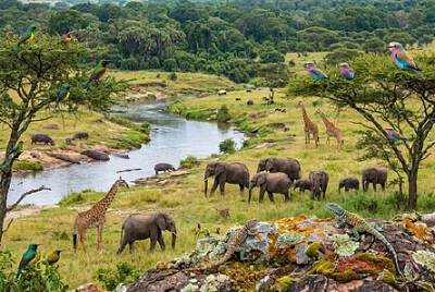 Nature