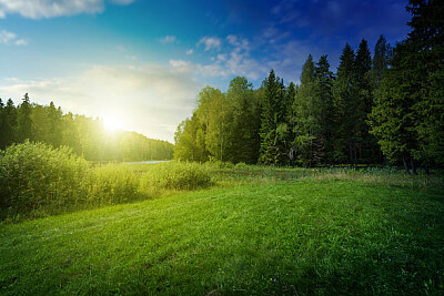 Nature