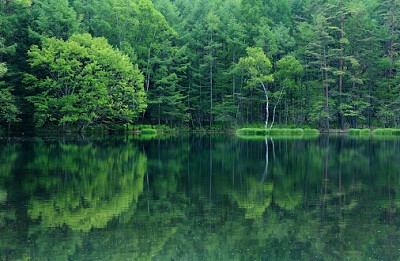 Nature