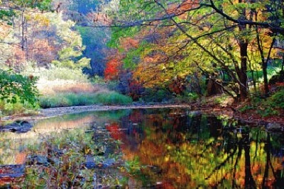 Nature