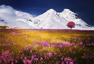 Nature