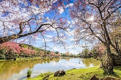 Nature
