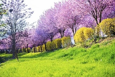Nature