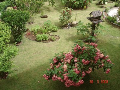 Beautiful Garden