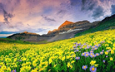 Nature