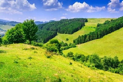 Nature