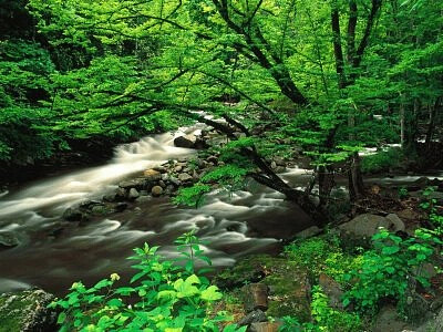 Nature