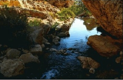 Nature