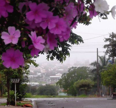 cenÃ¡rio - MaringÃ¡-Brasil