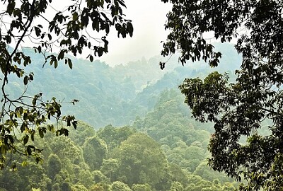 Nature