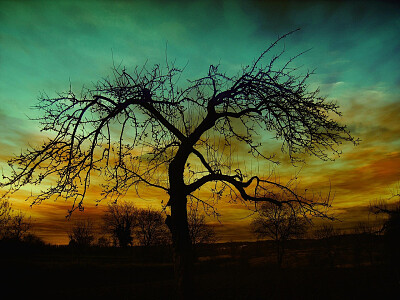 Nature