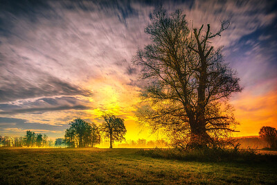 Nature