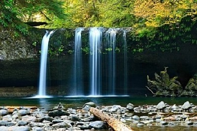 Nature