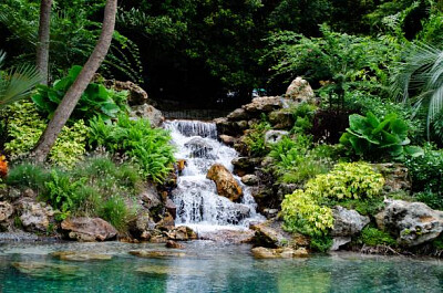 Nature