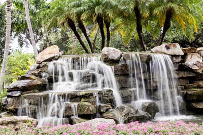 Nature