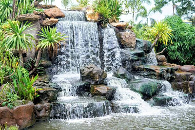 Nature