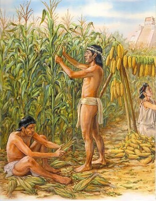 Para iniciar una actividad de Historia