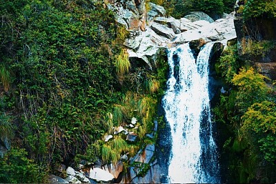 Nature