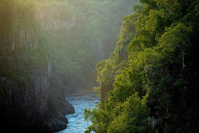 Nature