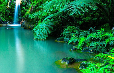 Nature