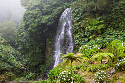 Nature