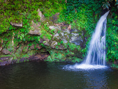 Nature
