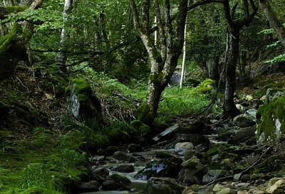 Nature