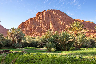 Nature