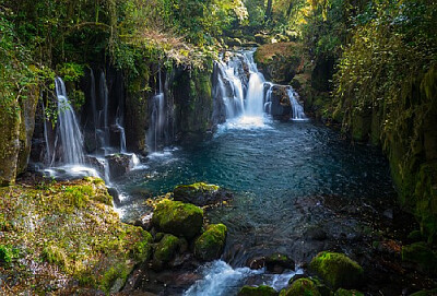 Nature