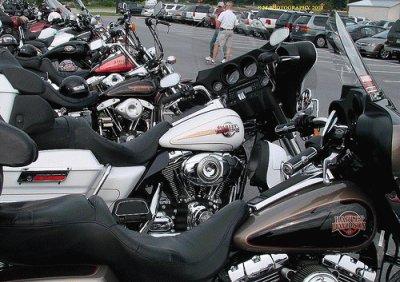 A Biker Gathering