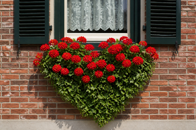 Heart Window Box