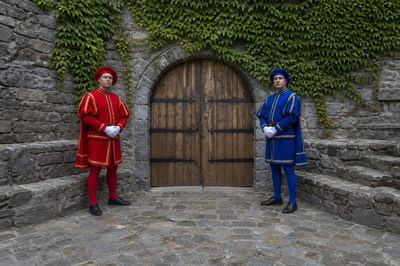 Castle Costume Guards