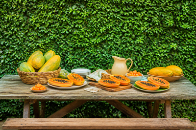 Picnic Papaya Table
