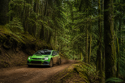 Forest Rally Stage