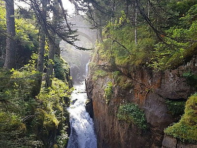 Nature