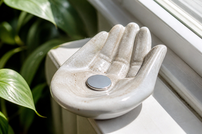 Bright Dish Coin