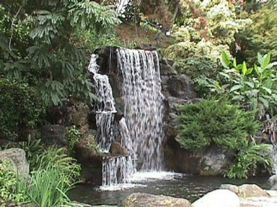 Mayberg Water Falls-LA Abortrtum Botanic Gardens jigsaw puzzle