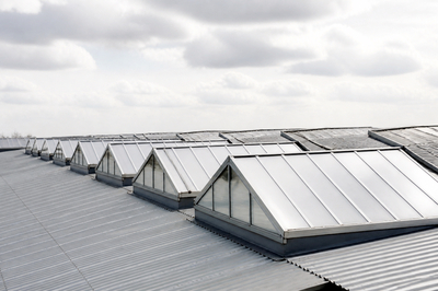 Warehouse Roof Skylights(grok)