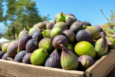 Sunny Market Figs