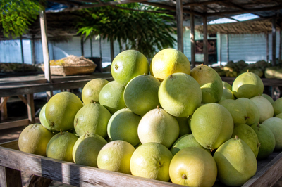 Morning Market Pomelos